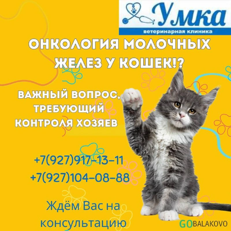 cd8f3a4a-5084-4758-adb6-a6299496aca9.jpg cd8f3a4a-5084-4758-adb6-a6299496aca9.jpg