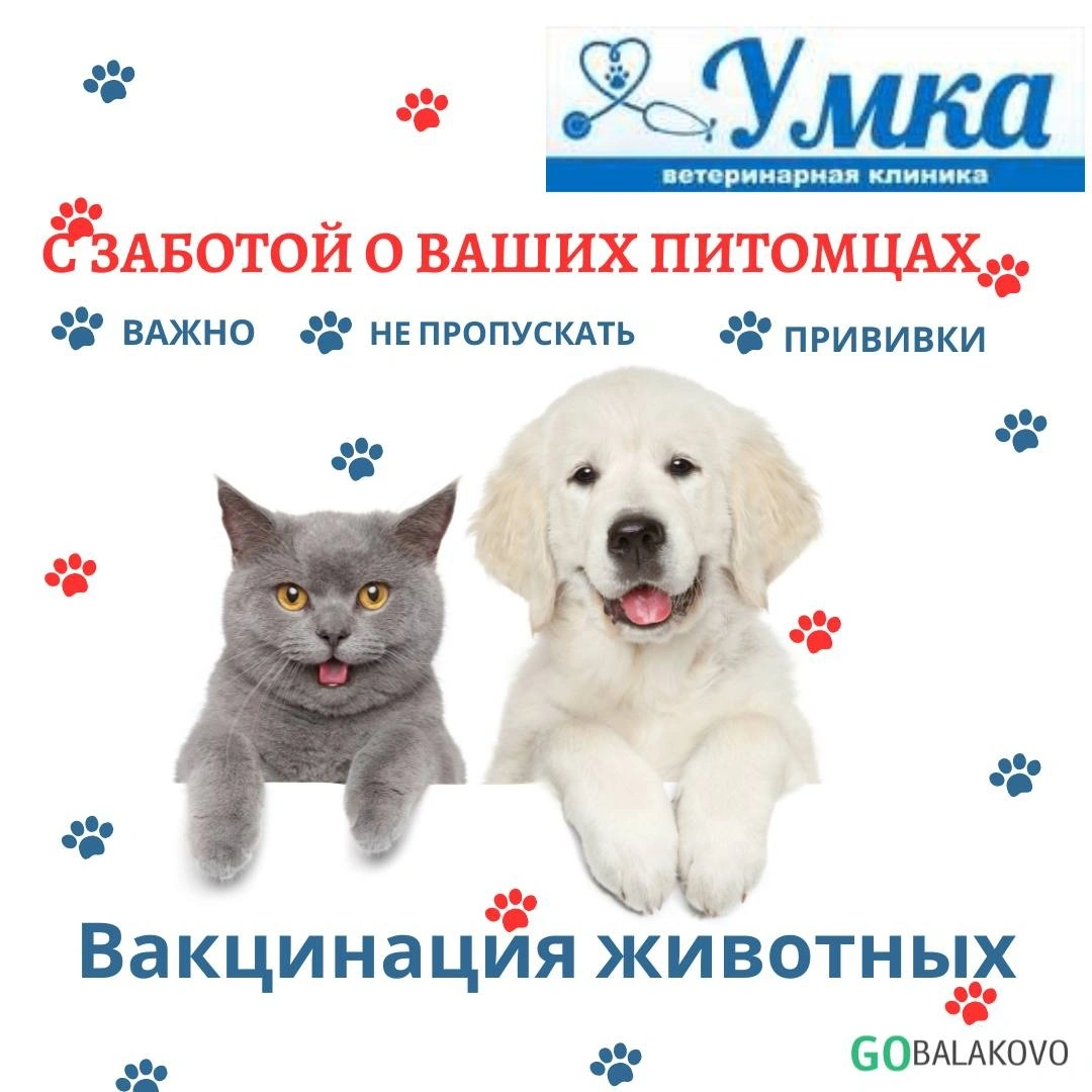 55riYvq2jxU.jpg 55riYvq2jxU.jpg